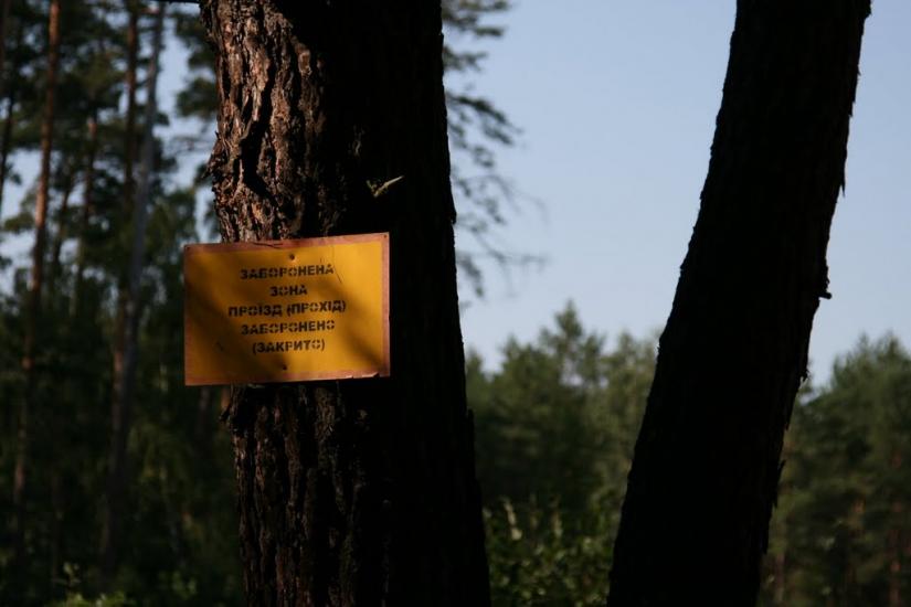Любимівка з panoramio.com - Любимовка