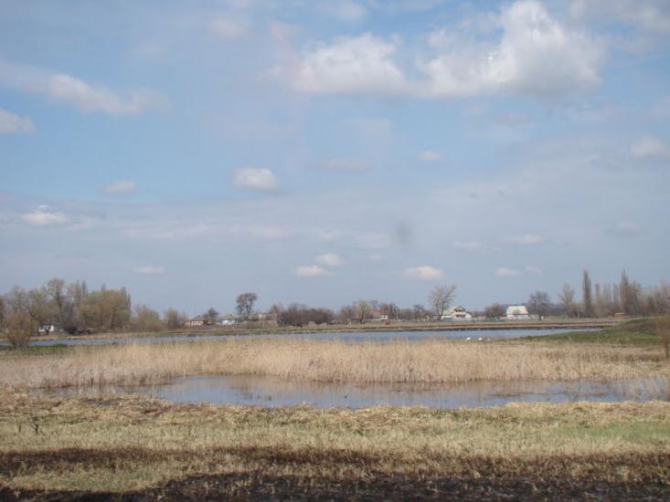 Козлів з panoramio.com - Козлов