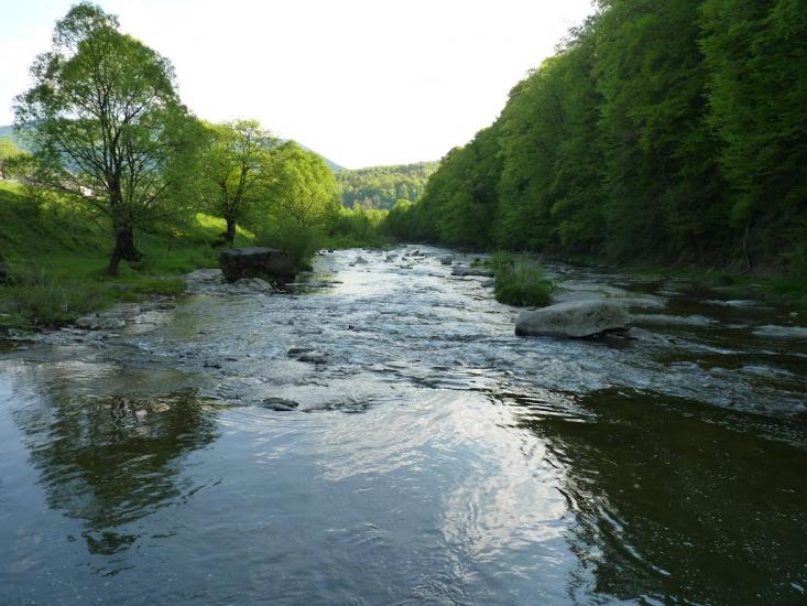 Підполоззя з panoramio.com - Підполоззя