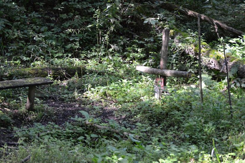 Грабовське з panoramio.com - Грабовское