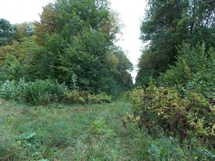 Кисляк з panoramio.com - Kyslyak