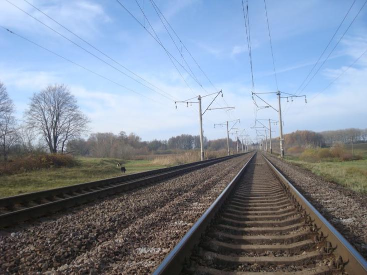 Мартинівка з panoramio.com - Martynivka
