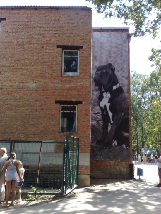 Лісне з panoramio.com - Лесное