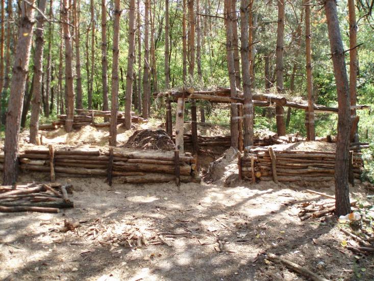 Пересічна з panoramio.com - Пересечная