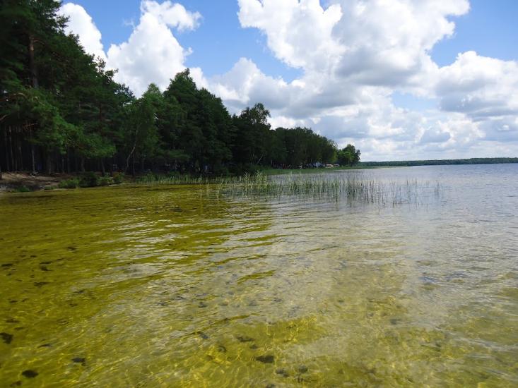 Рудка з panoramio.com - Рудка