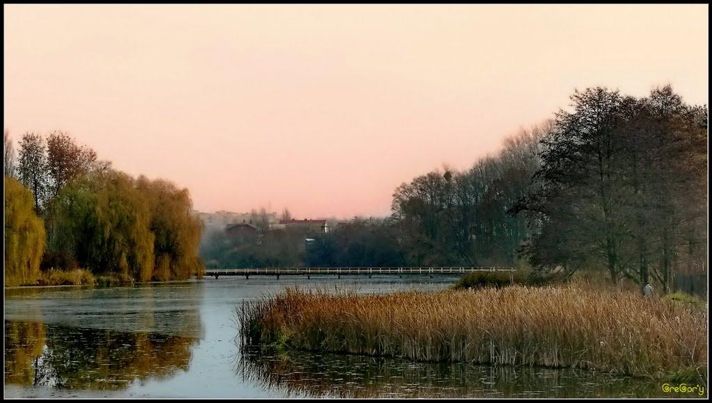 Прибузьке з panoramio.com - Прибугское