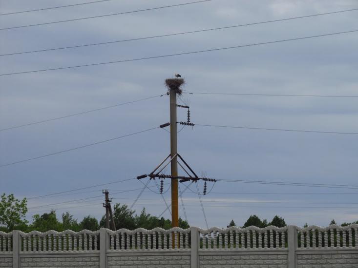 Стариця з panoramio.com - Старица