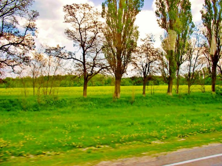 Медвин з panoramio.com - Медвин