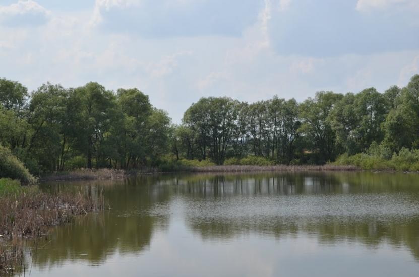 Болибоки з panoramio.com - Болибоки