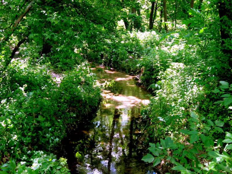 Новосілки з panoramio.com - Новоселки