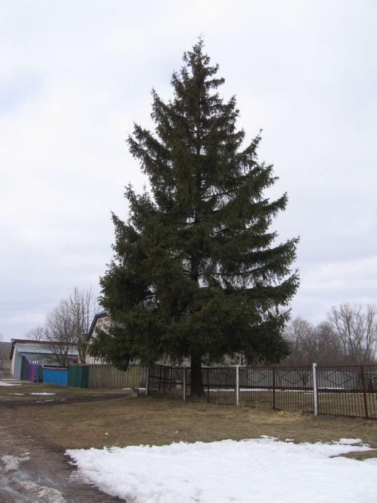 Ворожба з panoramio.com - Vorozhba