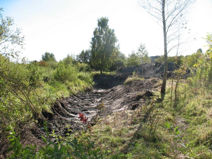 Веснянка з panoramio.com - Веснянка