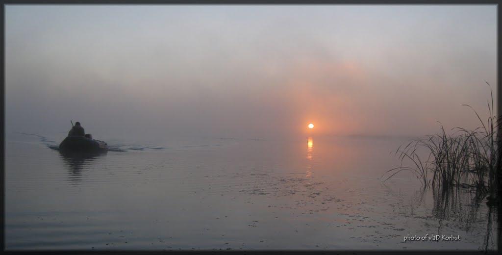 Щитинська Воля з panoramio.com - Щитинська Воля