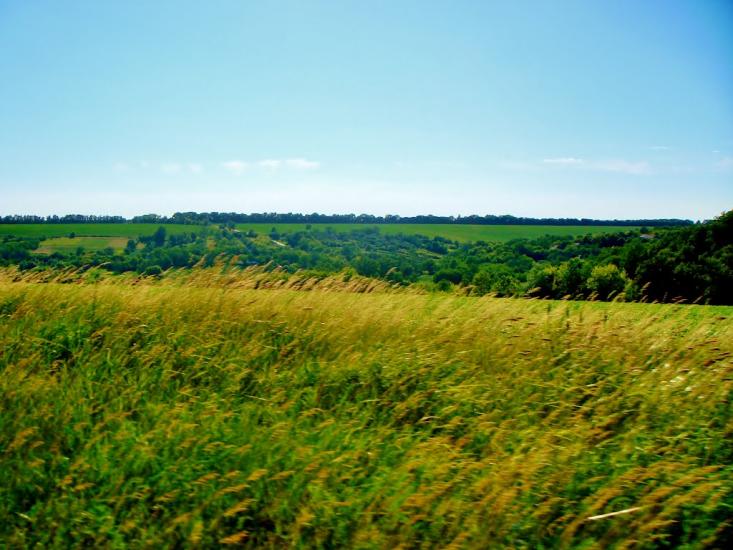 Козацьке з panoramio.com - Казацкое