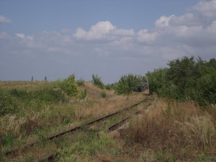Новоселівка Друга з panoramio.com - Новоселівка Друга
