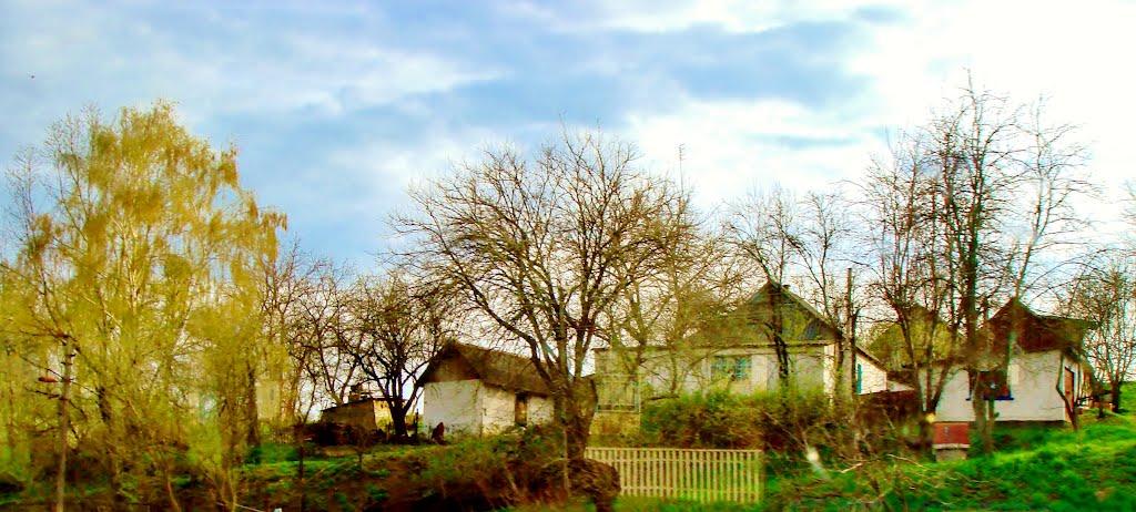 Лук'янівка з panoramio.com - Лук'янівка