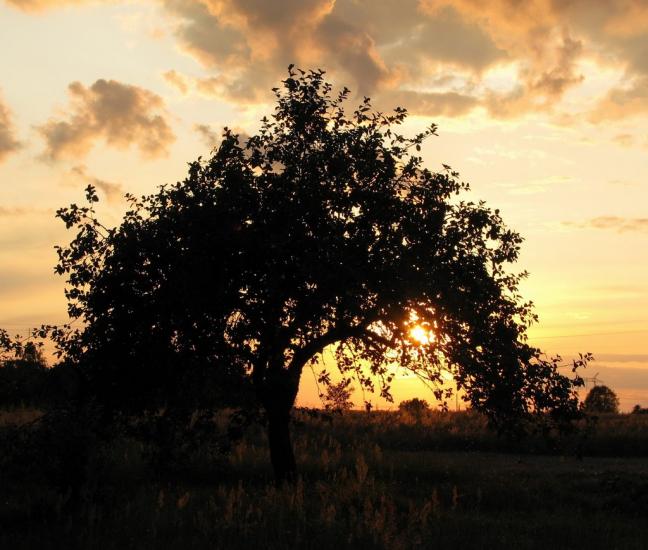 Мелені з panoramio.com - Meleni