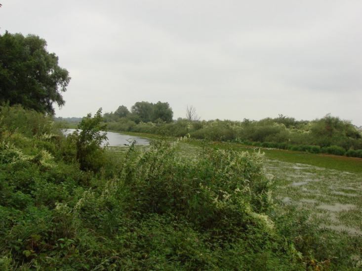 Зазим'я з panoramio.com - Зазимье