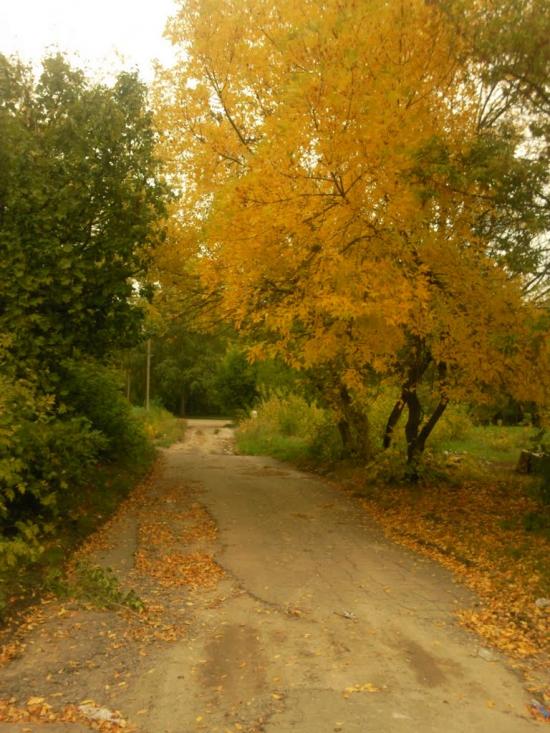 Світанок з panoramio.com - Світанок