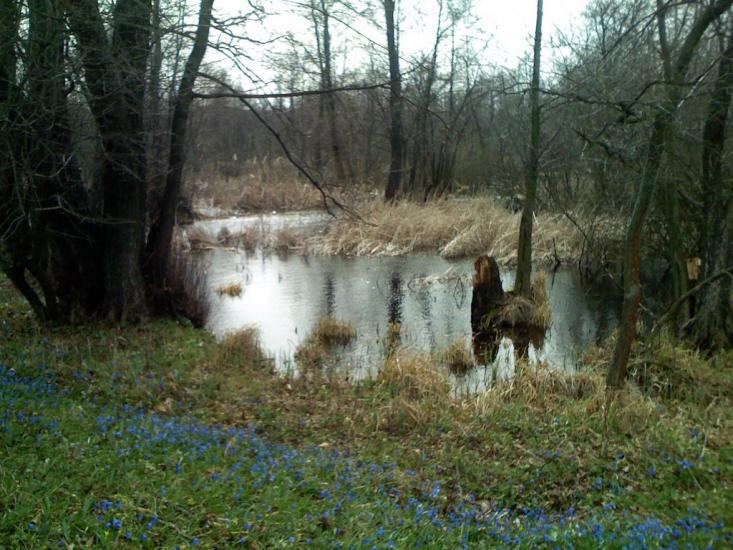 Ярова з panoramio.com - Ярова
