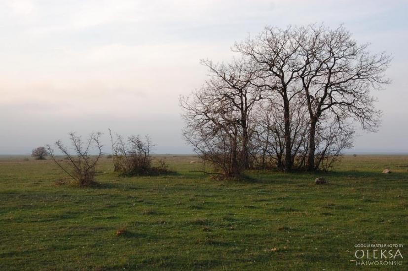 Вікторівка з panoramio.com - Викторовка