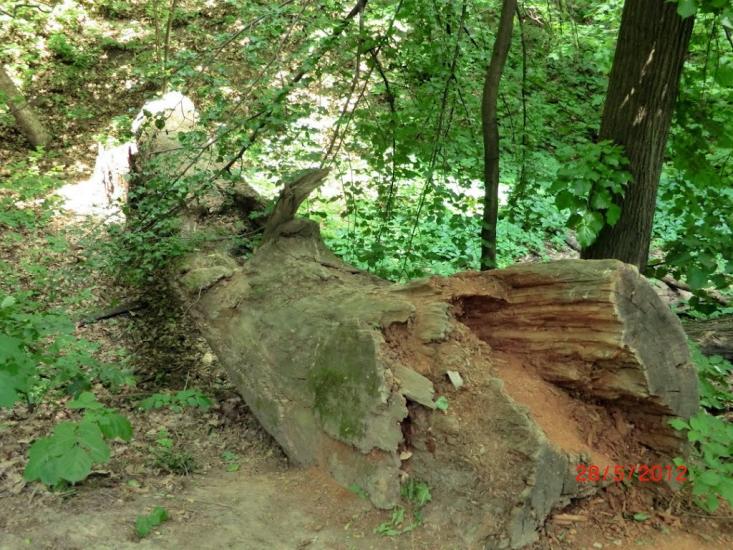 Краснокутськ з panoramio.com - Краснокутск