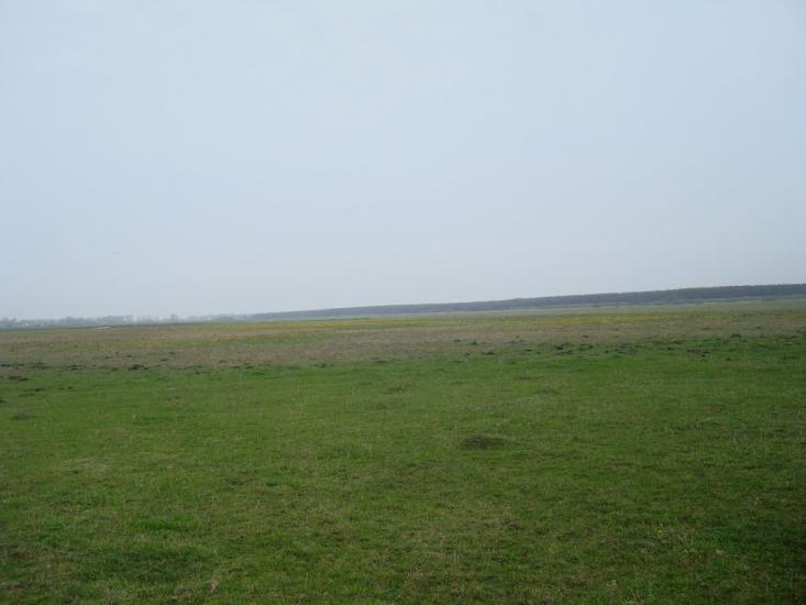 Великий Чернятин з panoramio.com - Великий Чернятин