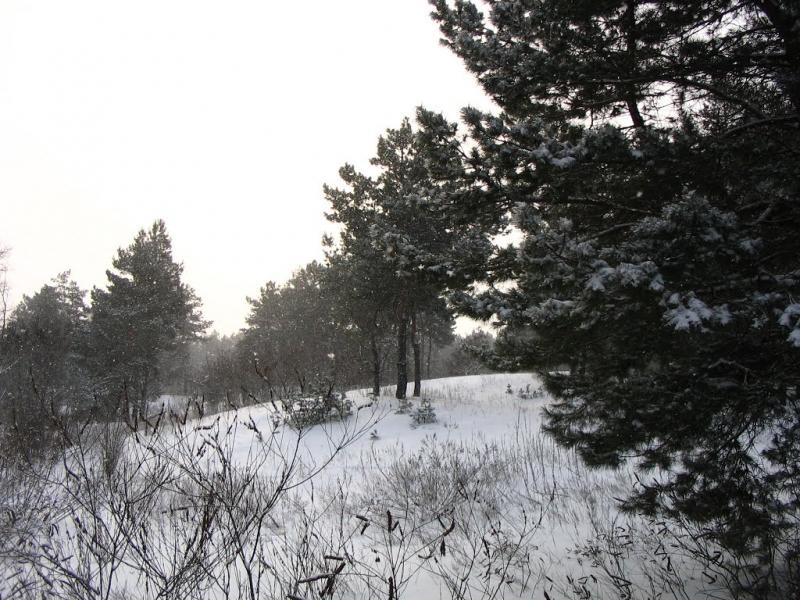 Горянівське з panoramio.com - Горянівське