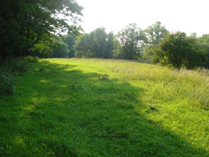 Горького з panoramio.com - Горького