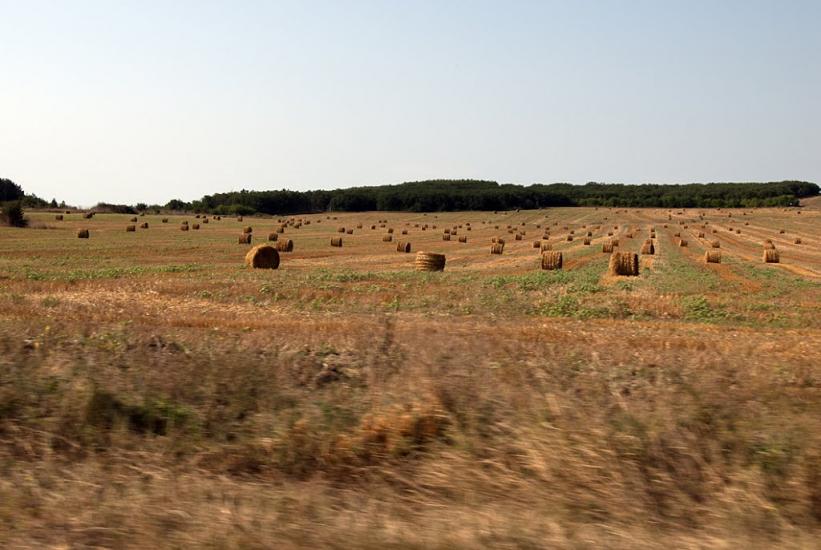Табачне з panoramio.com - Табачное