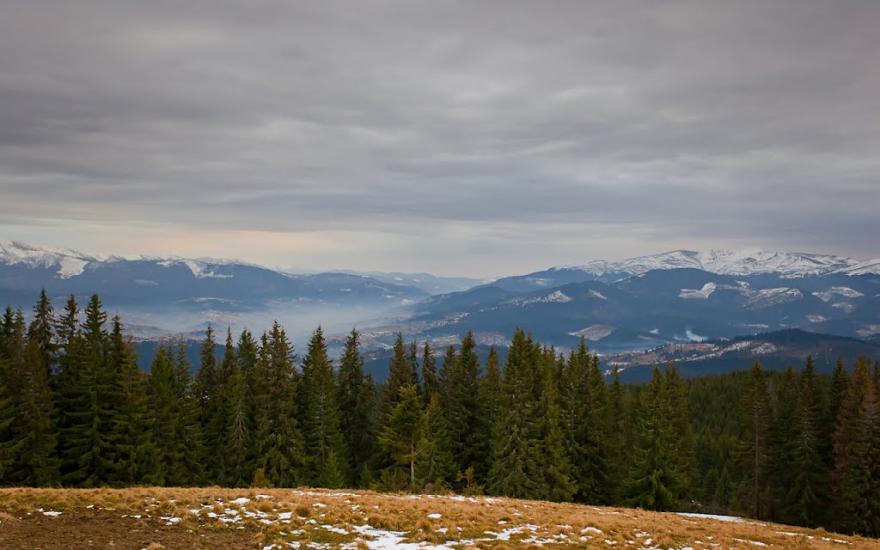 Поляниця з panoramio.com - Поляница