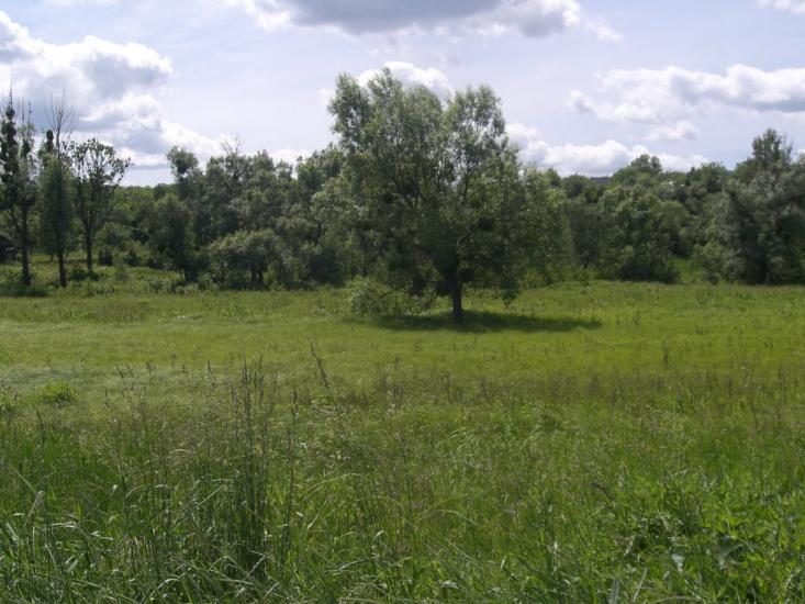 Гвоздів з panoramio.com - Гвоздов