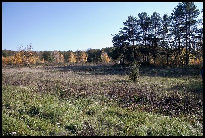 Терентіївка з panoramio.com - Терентіївка