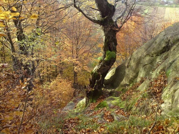 Розгірче з panoramio.com - Розгірче