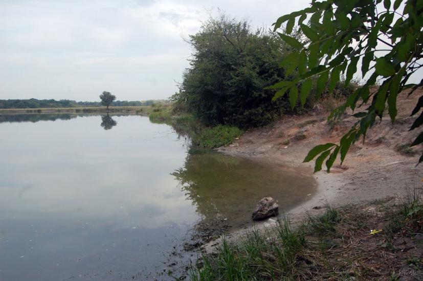 Нижнє з panoramio.com - Nyzhnye