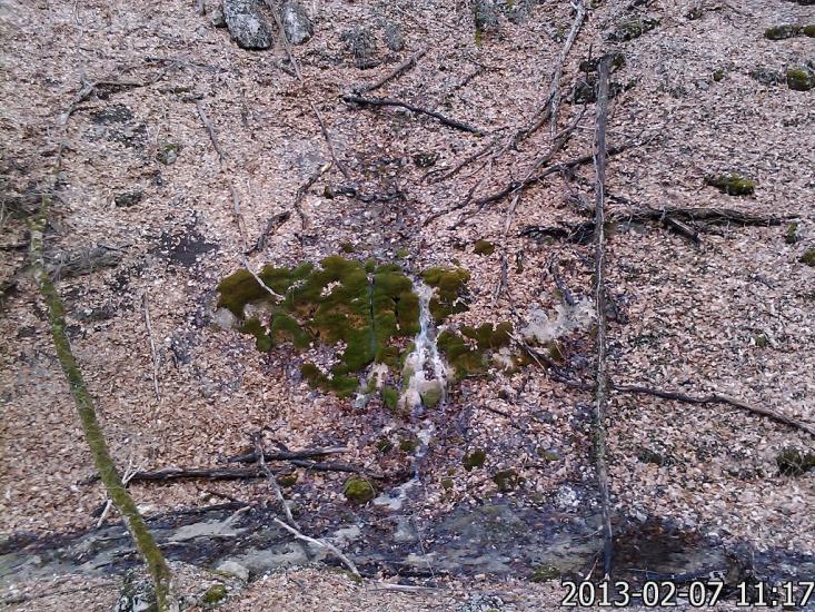 Дружне з panoramio.com - Дружне