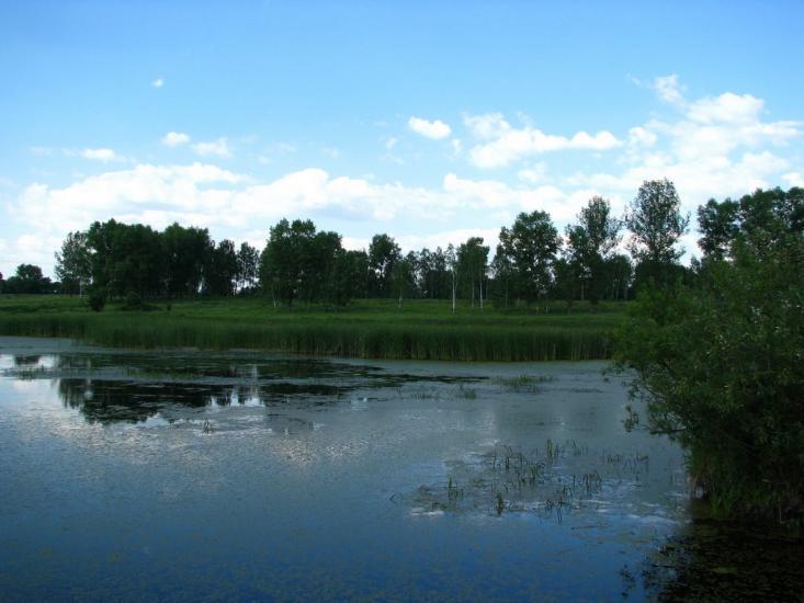 Мелені з panoramio.com - Meleni