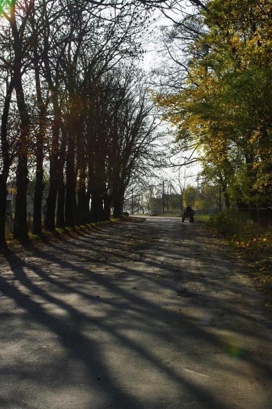 Мізоч з panoramio.com - Мізоч