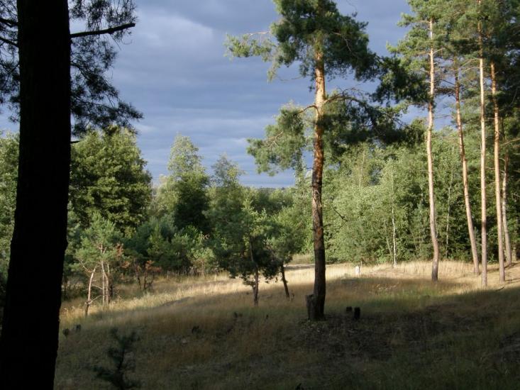 Солоницівка з panoramio.com - Солоницевка
