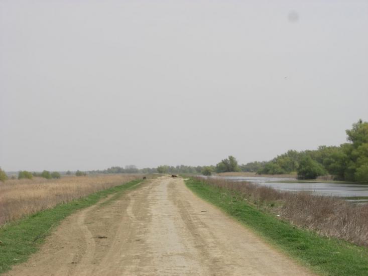 Матроська з panoramio.com - Матросская
