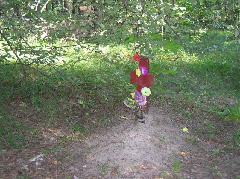 Нова Ушиця з panoramio.com - Нова Ушиця