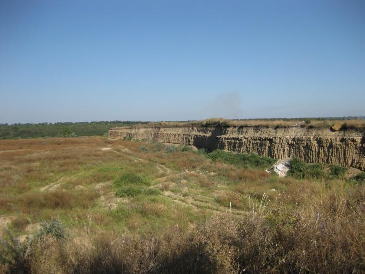 Алтестове з panoramio.com - Алтестово