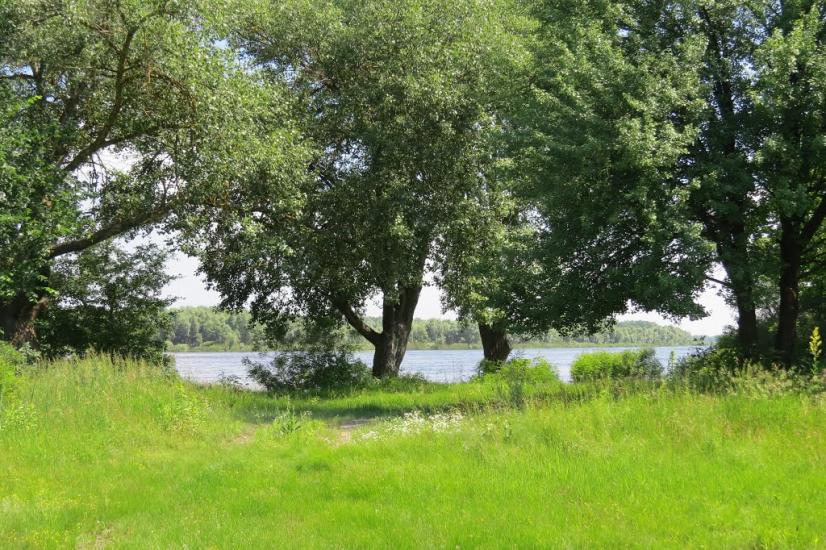 Тубільці з panoramio.com - Тубольцы