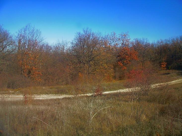 Кудрине з panoramio.com - Кудрине