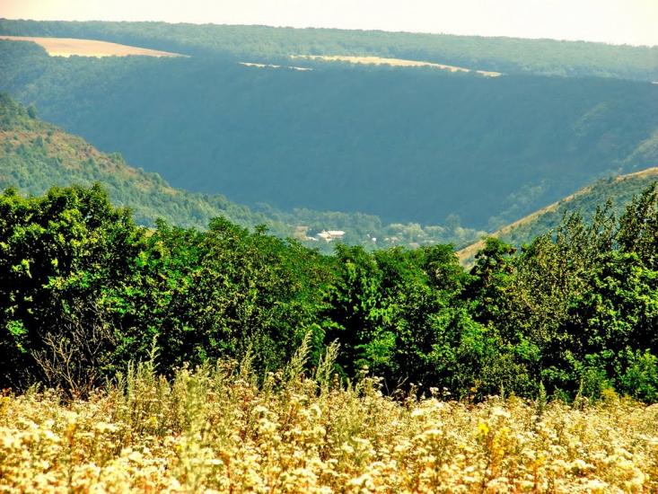 Стрільче з panoramio.com - Стрельче