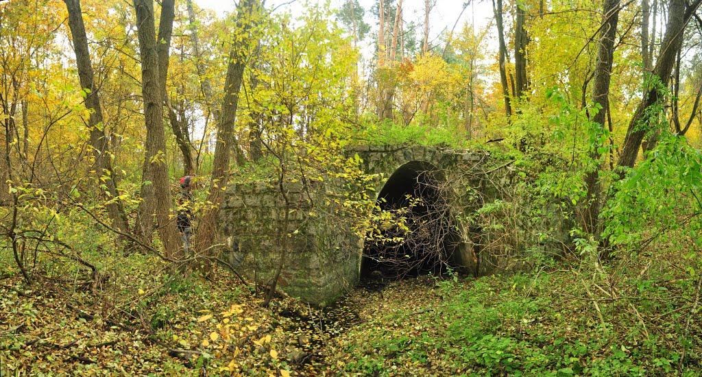 Чабани з panoramio.com - Чабани