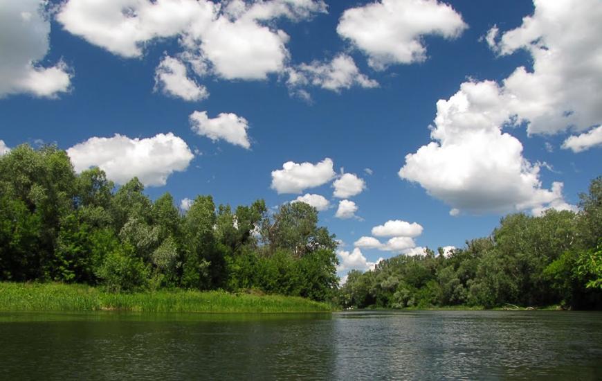 Пасіка з panoramio.com - Пасека