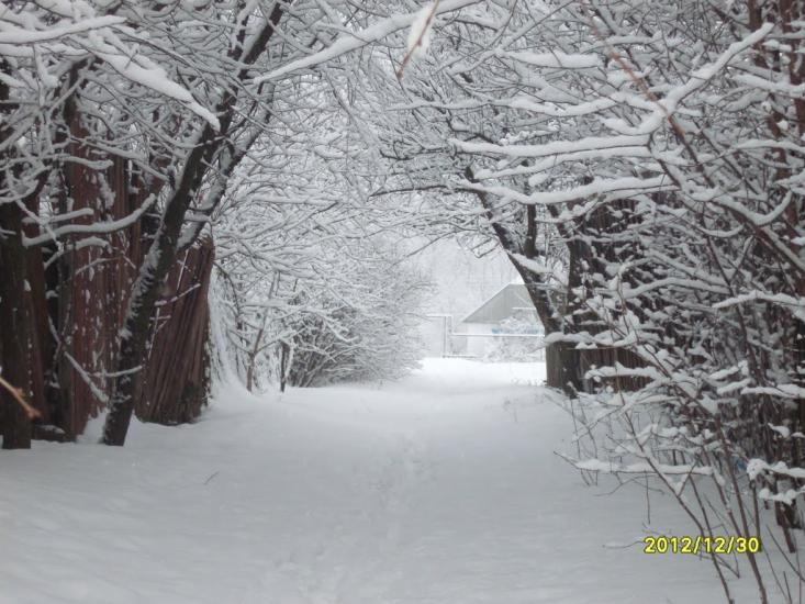 Буринь з panoramio.com - Бурынь