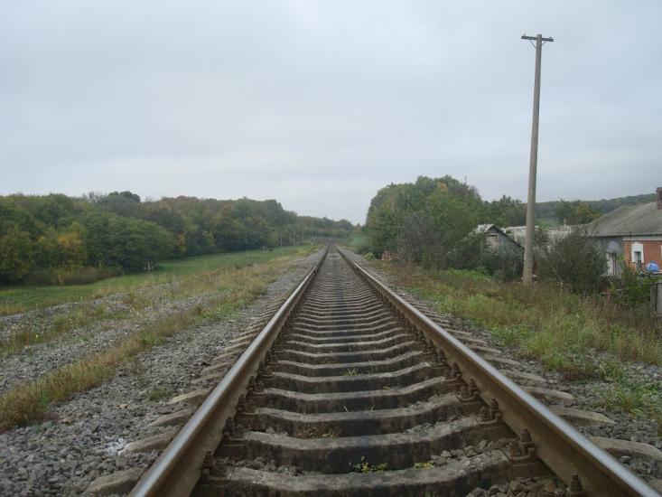 Верхівці з panoramio.com - Verkhivtsi