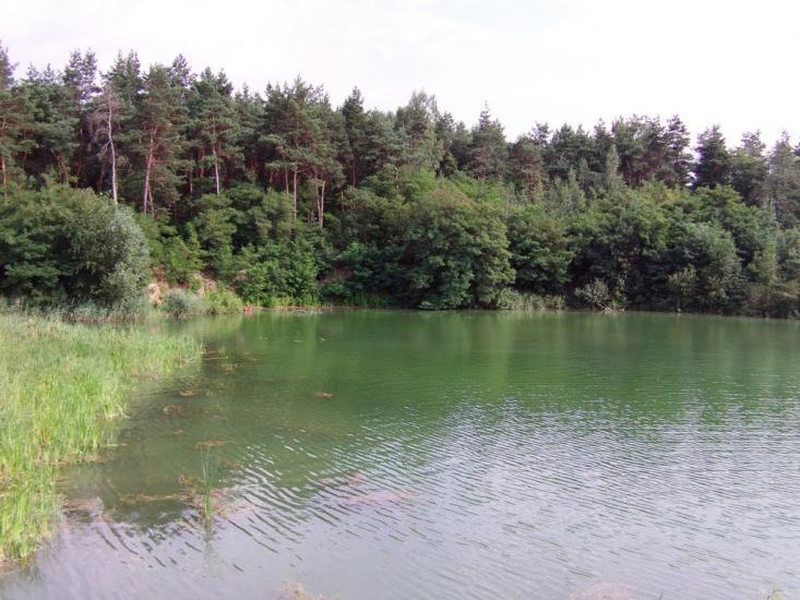 Бездрик з panoramio.com - Бездрик
